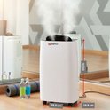 Witte Alpina luchtontvochtiger met stoom en afmetingen: 50 cm hoog, 28,8 cm breed, 19,8 cm diep.