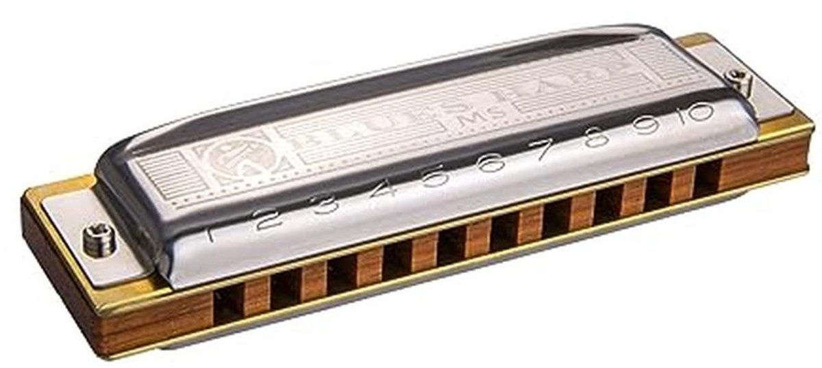 Mondharmonica in G-majeur voor Bluesmuziek
