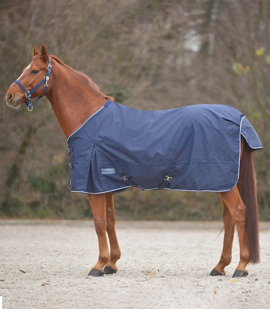 Bruine paard met een donkerblauwe deken met witte bies en kruissingels.