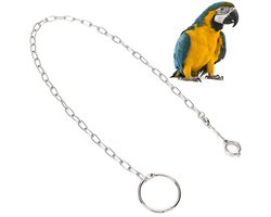 Voet Ketting voor Vogels - RVS Anti-Beet Training Accessoires - Enkelband voor Papegaaien