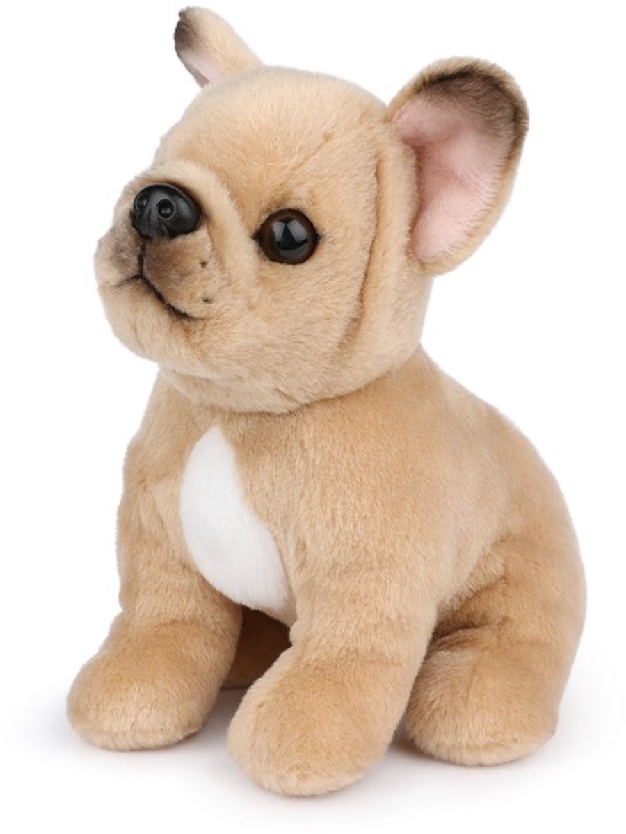 B.T. Chaps Philippe the French Bulldog - 17 cm - 6,5.