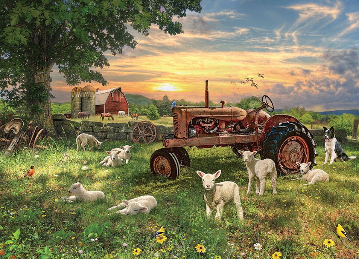 Cobble Hill 1000-delige puzzel: Zonsopgang op het platteland