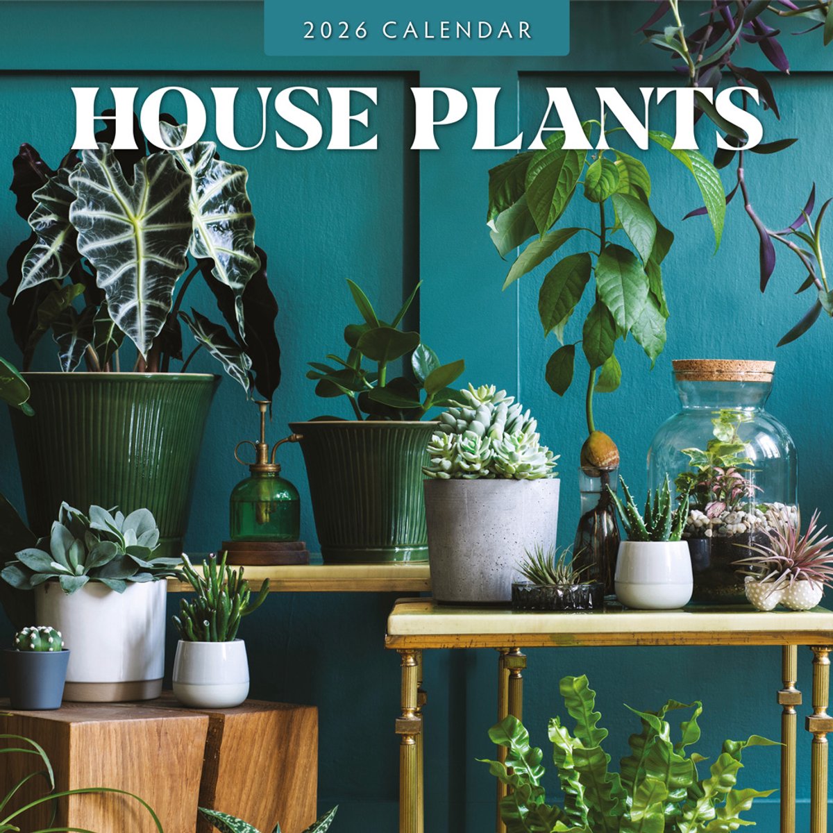 Red Robin Kalender 2026 - House Plants