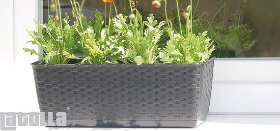 Bloempot met Bewateringssysteem, 11 cm, Zwart - Eva Solo | 5706631006682