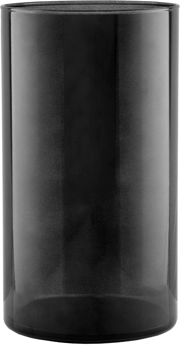 Imperatoris Glazen Vazen / Glazen Flessen – Mini Decoratieve Vaas Flesjes – Helder Glas – Inclusief Strik – 29 cm – Grafietgrijs