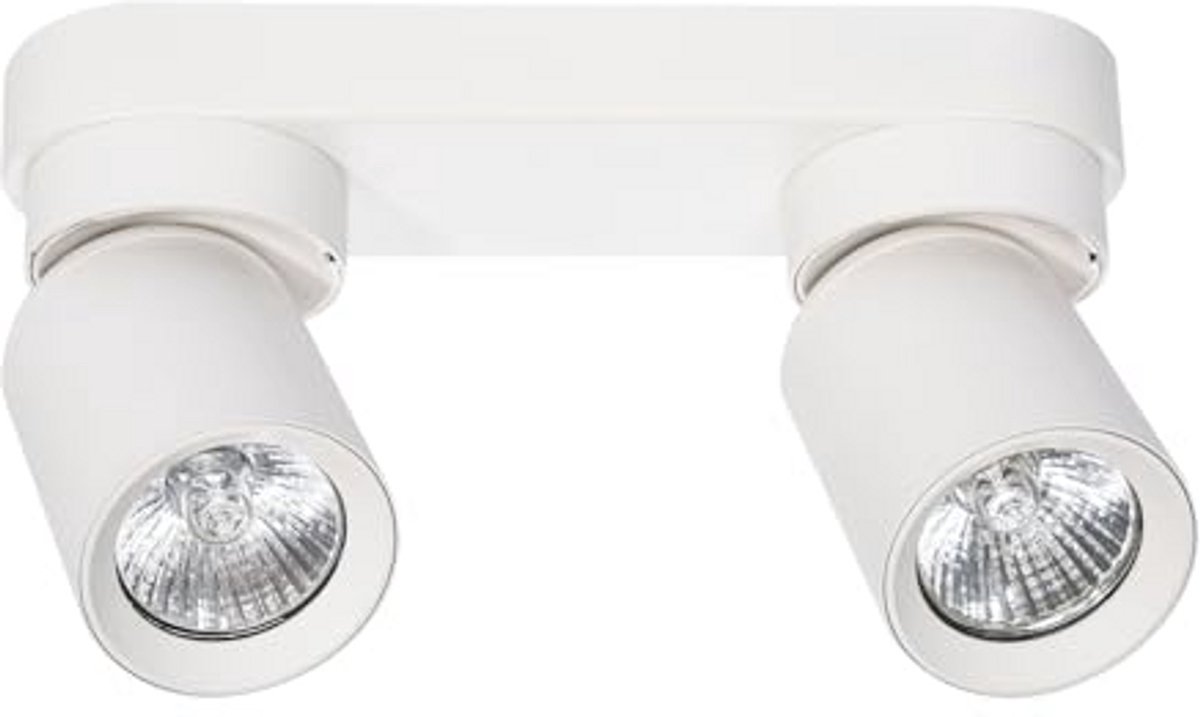 Wand- en Plafondlamp voor Woonkamer met 2 Lichtbronnen