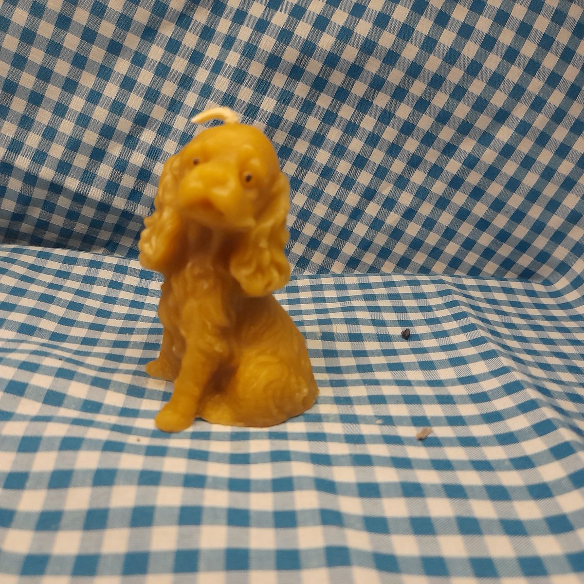 Bijenwas kaars, hond, Cocker spaniel, zittend
