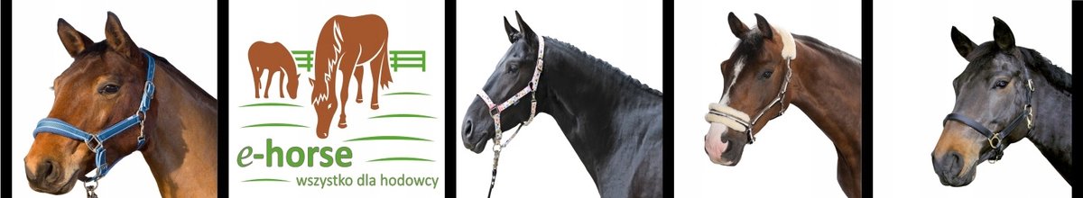 Kantar START Neopreen Holo Pony - Stijlvol en comfortabel