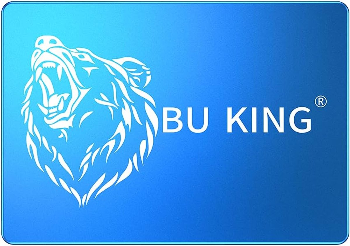 240GB Internal SATA3 2.5 Inch Solid State Drive - tot 400M/S - Blauw Bear Head