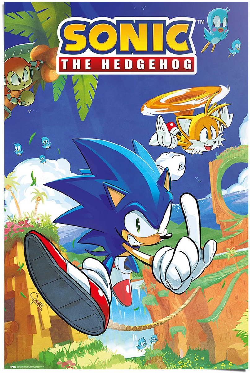 REINDERS Poster Sonic the Hedgehog - sonic & tails - 91,5 x 61 - Papier - REINDERS blauw