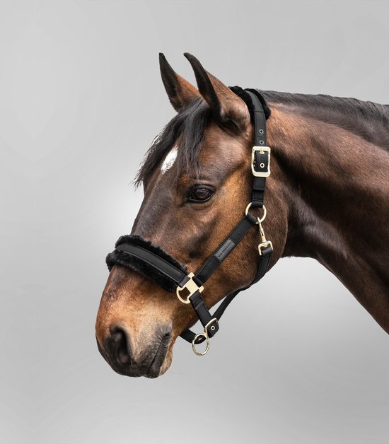 Waldhausen Licol exclusif Cob Zwart / Zwart