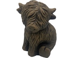 Brynxz - Sitting Scotty cute - Schotse Hooglander - Majestic brown