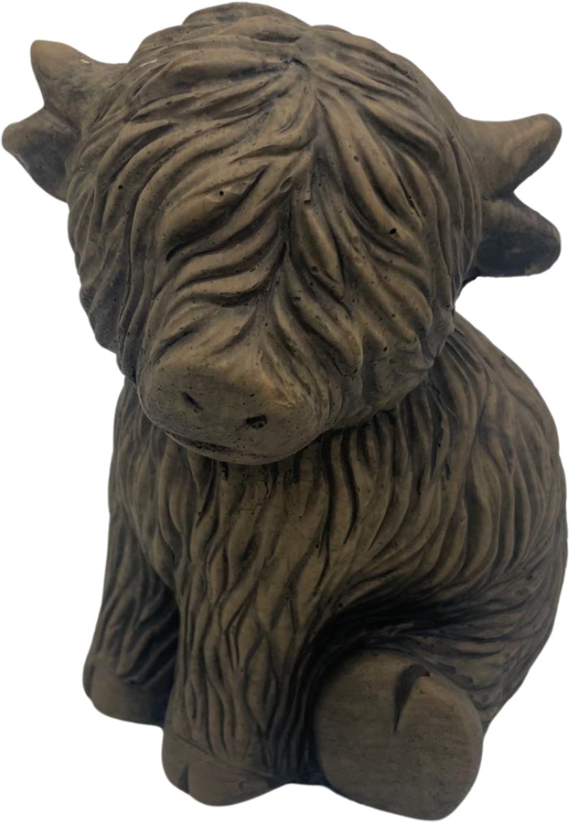 Brynxz - Sitting Scotty cute - Schotse Hooglander - Majestic brown