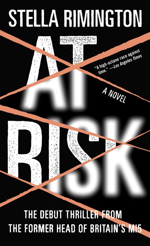 At Risk - cover