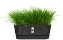 Zwarte plantenbak met schotel gevuld met groen gras.