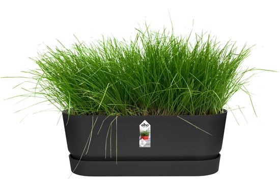 Zwarte plantenbak met schotel gevuld met groen gras.