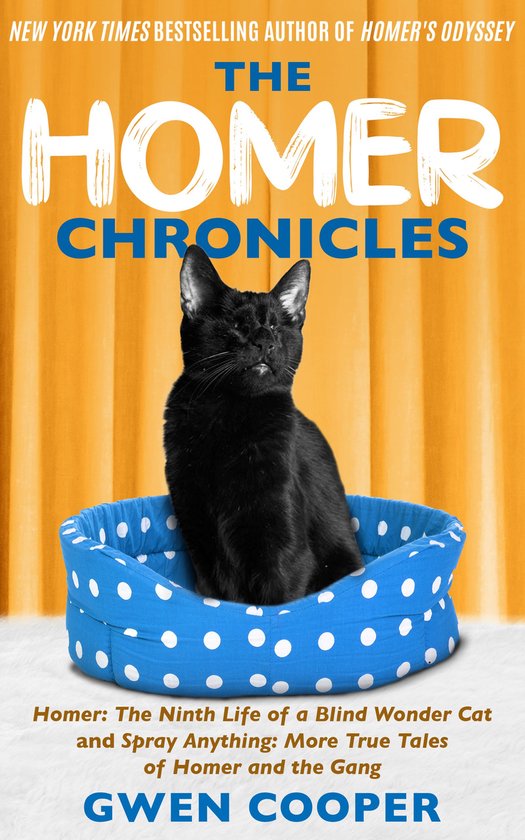 The Homer Chronicles - cover