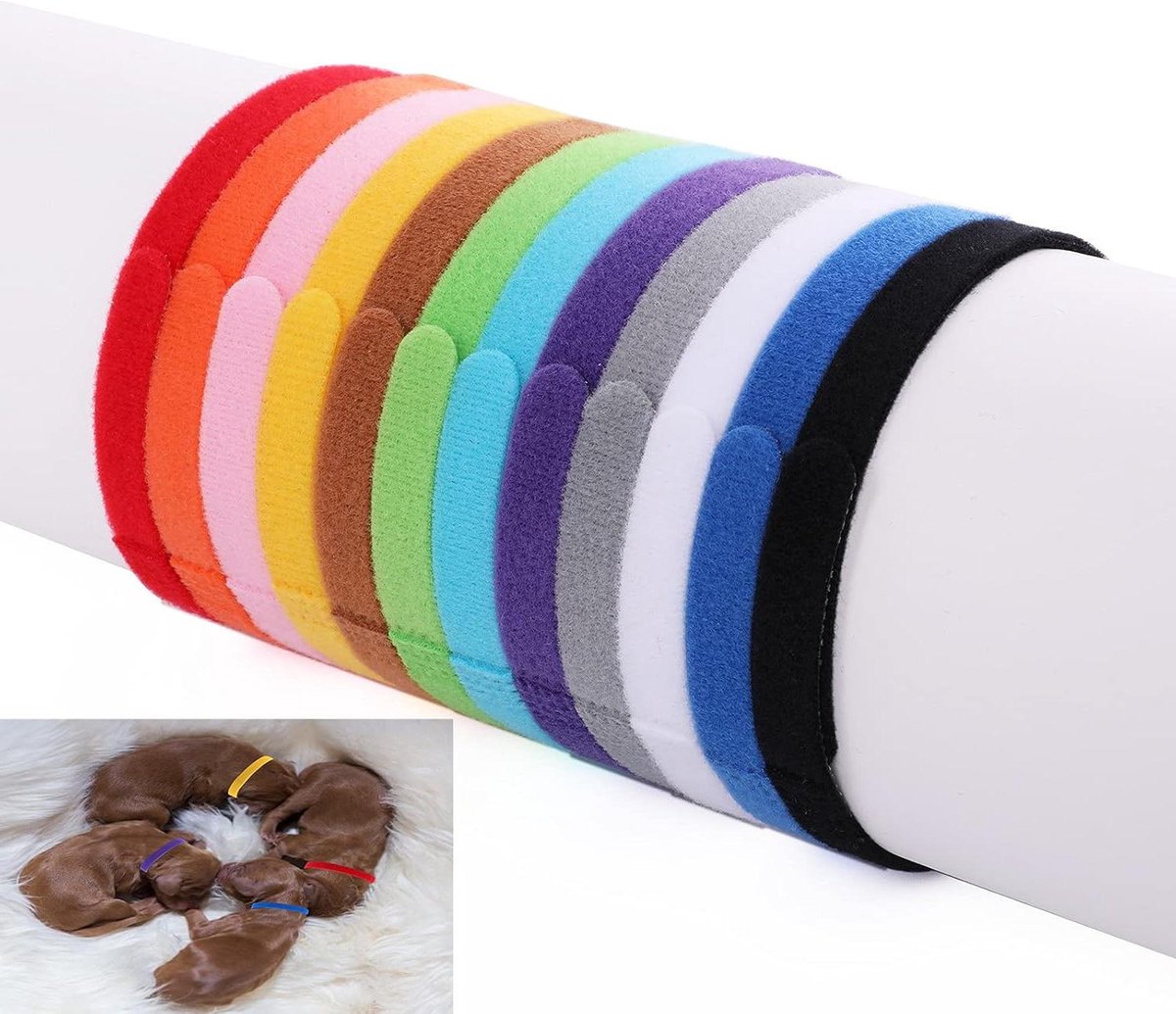 Cosensi - Halsbanden voor puppy's in verschillende kleuren, verstelbaar - geschikt voor kleine honden en katten - 30 cm - set van 12
