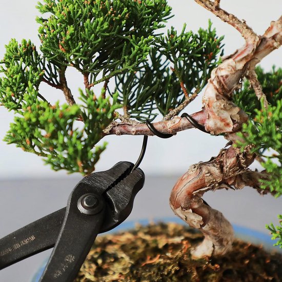 QWORK® 5 Größe Bonsai Draht Eloxiertes Aluminium Draht für Pflanzen und