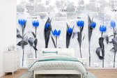 Papier Peint - Papier Papier peint photo Fleurs - Tulipes - Blauw - Largeur 420 cm x Hauteur 280 cm