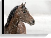WallClassics - Toile - Cheval marron dans la neige - 40x30 cm Photo sur toile (Décoration murale sur toile)