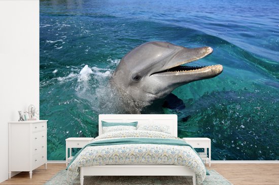 Papier peint photo peint photo vinyle - Verre curieux largeur 330 cm x hauteur 220 cm - Tirage photo sur papier peint (disponible en 7 tailles)