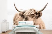 Behang - Fotobehang Schotse hooglander - Dieren - Vacht - Breedte 450 cm x hoogte 300 cm
