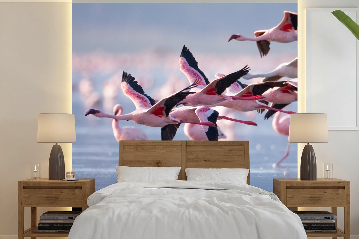 Behang - Fotobehang Flamingo - Vogel - Water - Roze - Breedte 240 cm x hoogte 240 cm