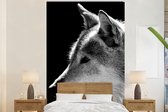 Behang - Fotobehang Wilde dieren - Wolf - Zwart - Wit - Breedte 155 cm x hoogte 240 cm