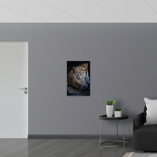 WallClassics - Dibond - Perzische Slapende Panter - 50x75 cm Foto op Aluminium (Wanddecoratie van metaal)
