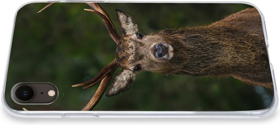 Coque iPhone XR - Cerf - Bois - Nature - Siliconen