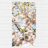 Muursticker - Licht Roze met Witte Bloesem - 50x100 cm Foto op Muursticker