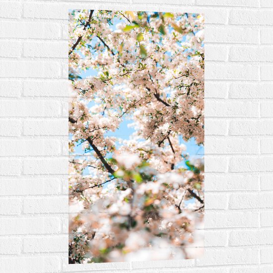 Muursticker - Licht Roze met Witte Bloesem - 50x100 cm Foto op Muursticker