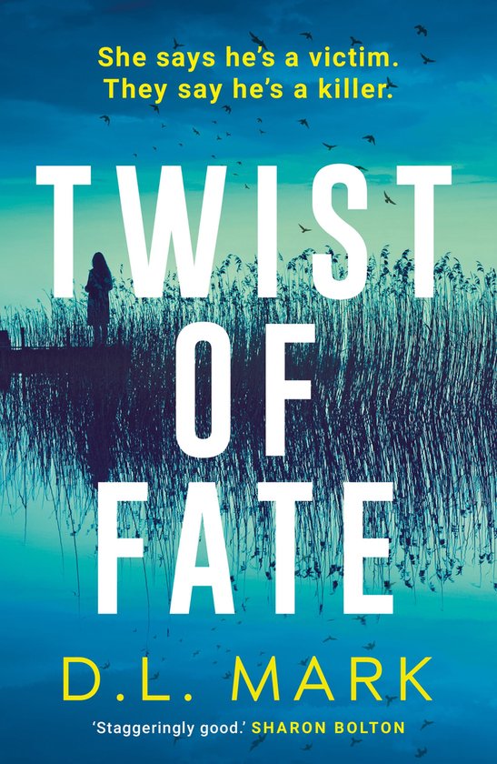 Twist of Fate - cover