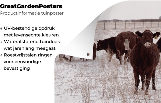 Affiche de jardin Troupeau de vaches dans un champ de neige 120x80 cm - Toile de jardin / Toile d'extérieur / Peintures d'extérieur (décoration de jardin)