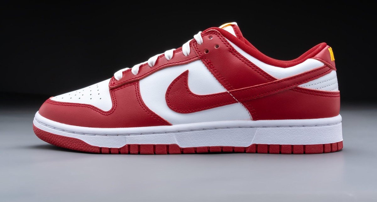Nike Dunk Low Gym Rouge USC DD1391-602 Taille 43 ROUGE | bol