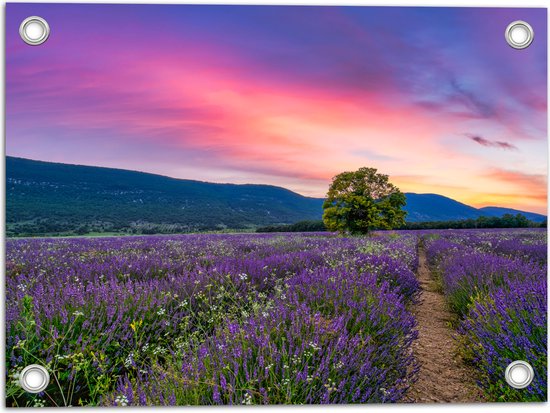Tuinposter – Lavendel Veld met Zonsondergang en Mooie Lucht - 40x30 cm Foto op Tuinposter (wanddecoratie voor buiten en binnen)