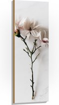 Hout - Wit met Roze Bloemen op Witte Ondergrond - 40x120 cm - 9 mm dik - Foto op Hout (Met Ophangsysteem)