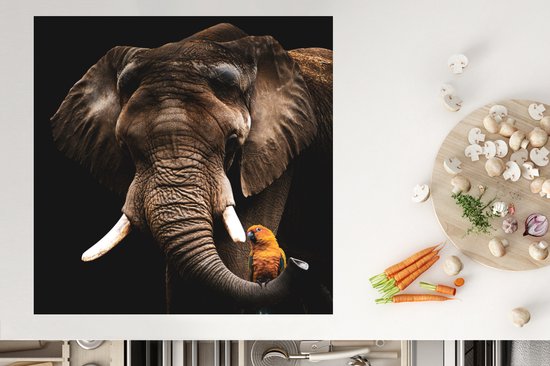 KitchenYeah® Inductie beschermer 78x78 cm - Olifant - Papegaai - Tanden - Kookplaataccessoires - Afdekplaat voor kookplaat - Inductiebeschermer - Inductiemat - Inductieplaat mat