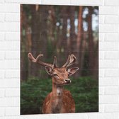 WallClassics - Muursticker - Opzijkijkend Hert in Groen Bos - 60x90 cm Foto op Muursticker