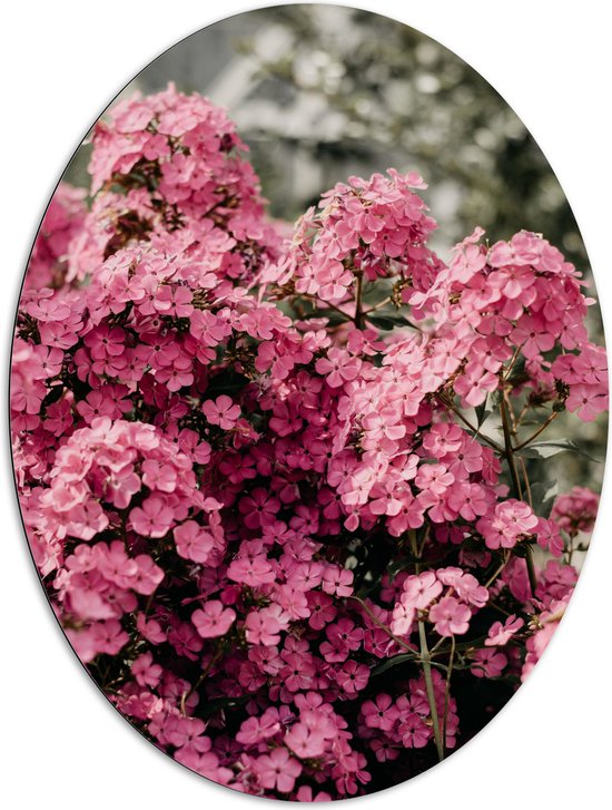 Dibond Ovaal - Roze Bloementjes - 81x108 cm Foto op Ovaal (Met Ophangsysteem)