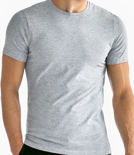 HL-tricot heren T-shirt korte mouw - 100% Katoen - L - Grijs