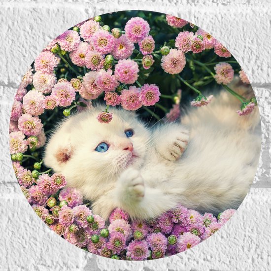 Muursticker Cirkel - Witte Kitten Spelend tussen Roze Bloemen - 20x20 cm Foto op Muursticker