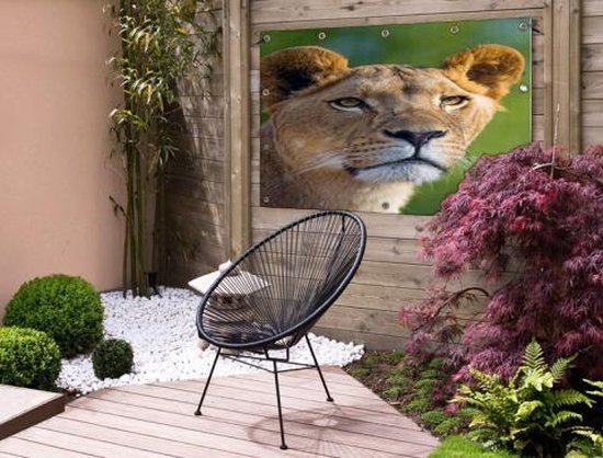 Poster Jardin jeune lionne 40x60 cm - petit - Toile de jardin / Toile d'extérieur / Peintures d'extérieur (décoration de jardin)