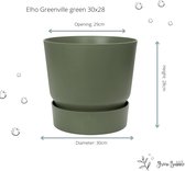 Green Bubble - Kentia palm inclusief elho Greenville wit - 180cm
