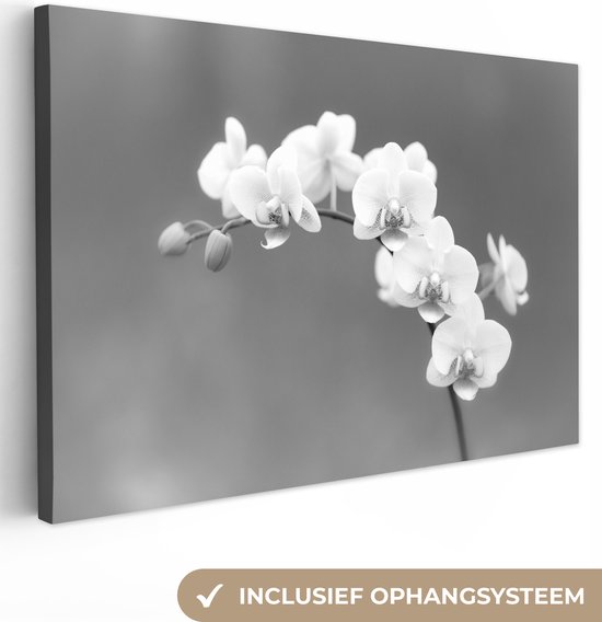 Canvas Schilderij Orchidee - Bloemen - Plant - Wit - Paars - 30x20 cm - Wanddecoratie