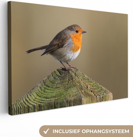 Canvas Schilderij Vogels - Roodborstje - Natuur - Lente - 180x120 cm - Muurdecoratie