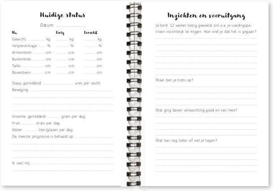 Eetdagboek met secties 'Huidige status' en 'Inzichten en vooruitgang'.