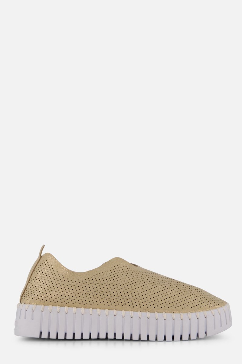 Platform Instappers TULIP3577