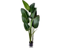 IvoQ Strelitzia Kunstplant – 180 cm Hoog – Realistisch & Onderhoudsvrij – Voor Binnen & Buiten – Handgemaakt & Duurzaam